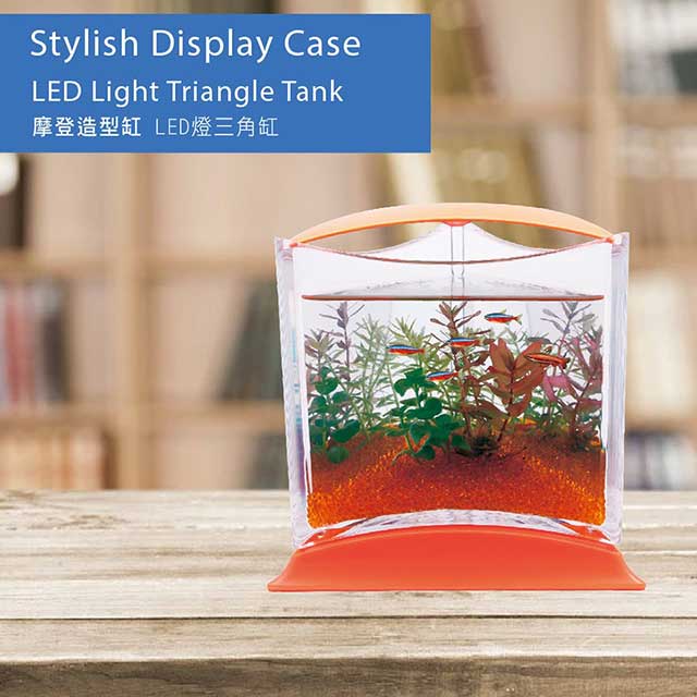 Bể cá cảnh mini hình tam giác