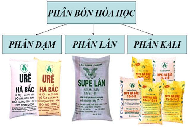 Các loại phân bón hóa học