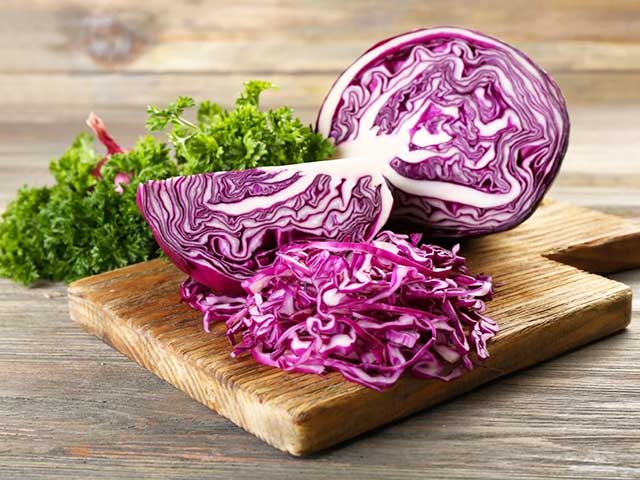 Cách trồng bắp cải tím
