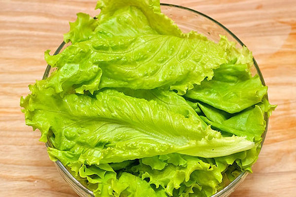 Cách trồng rau xà lách