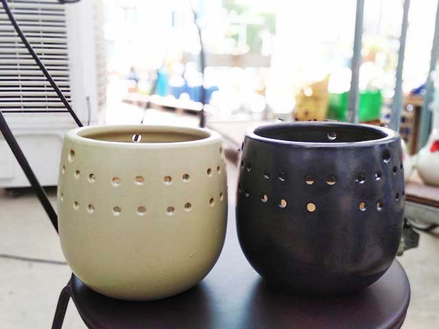 Chậu trồng cây lan hồ điệp