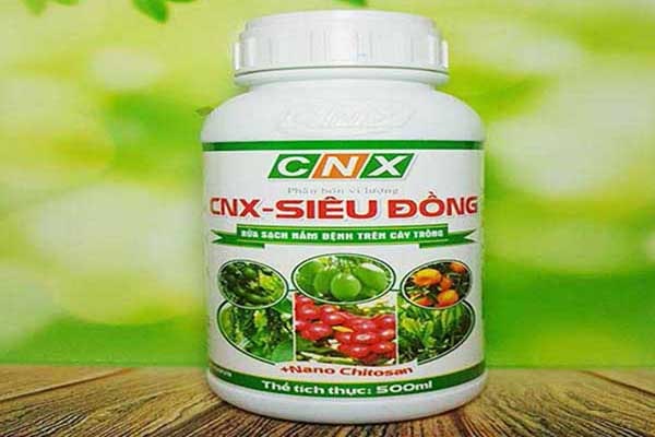 CNX-SIÊU ĐỒNG