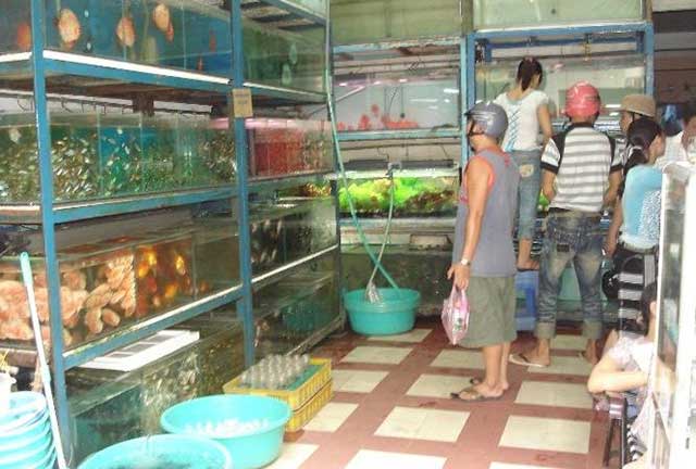 Cửa hàng cá cảnh gần đây 2