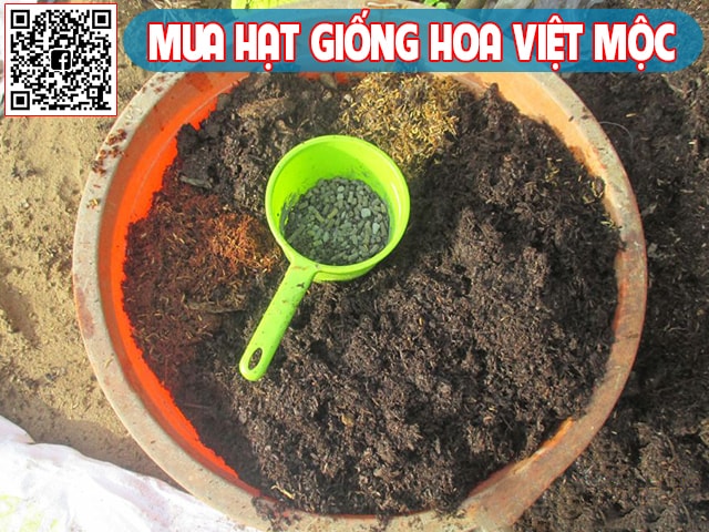 giá thẻ trồng cây