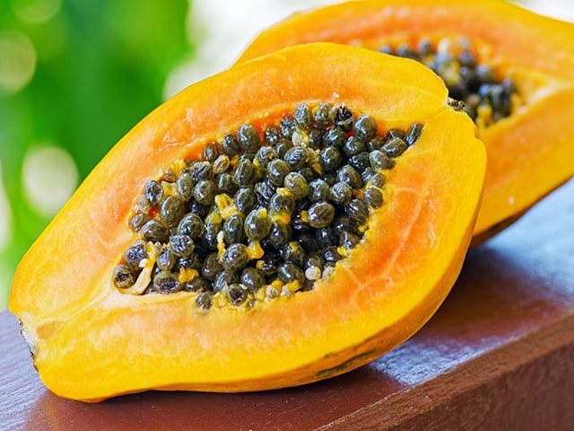 Hạt giống đu đủ