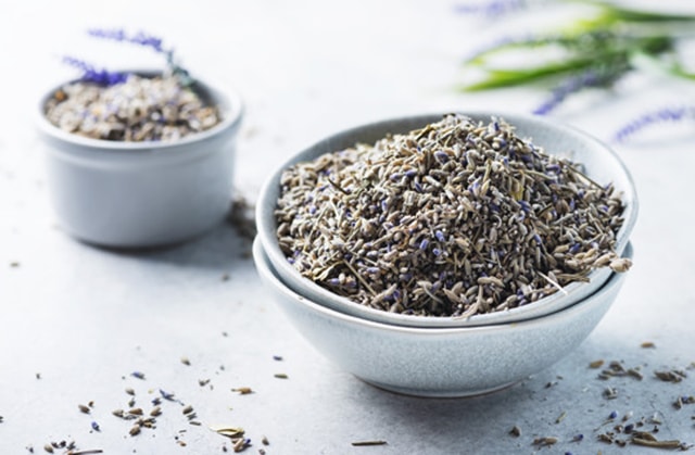 Hạt giống hoa oải hương lavender