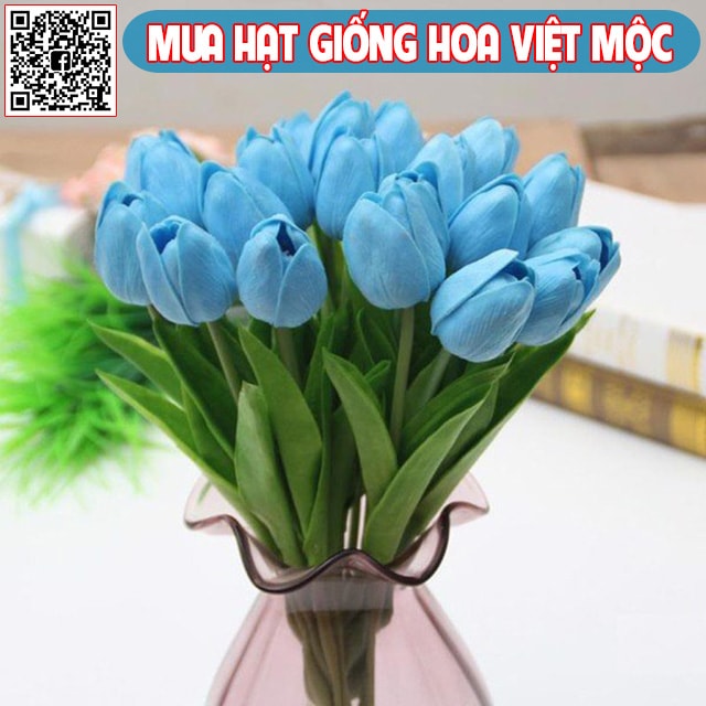 Hình ảnh hoa tulip xanh