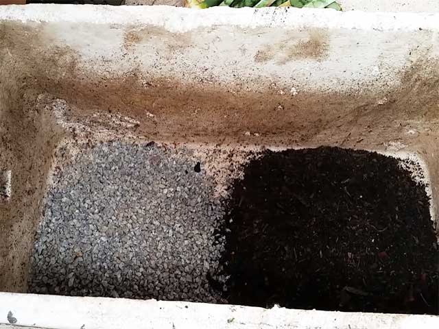 Hỗn hợp đá soi và đất potting mix