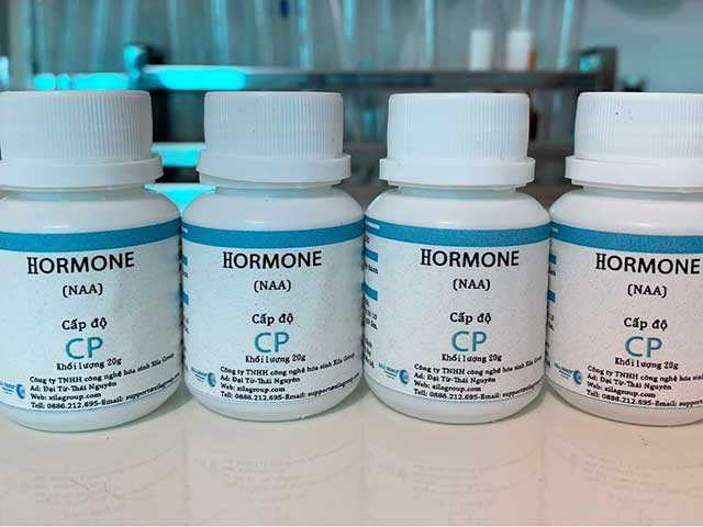 Hormone NAA