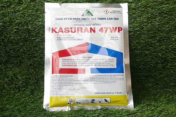 Kasura 47WP