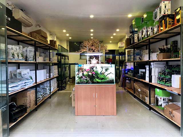 Long hoa cá cảnh thủ đức