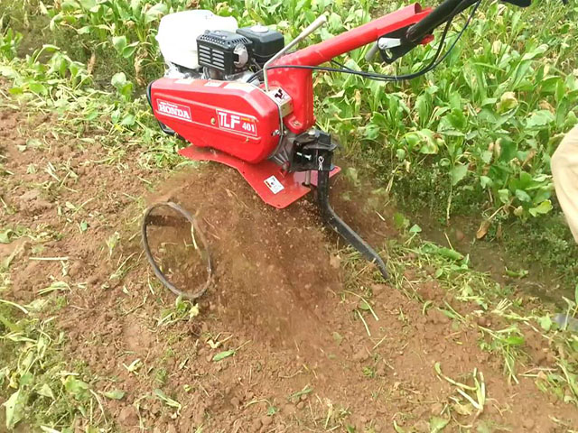 Máy xới đất mini honda