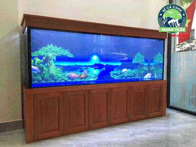 Mua bể cá cảnh đúc ở đâu 6
