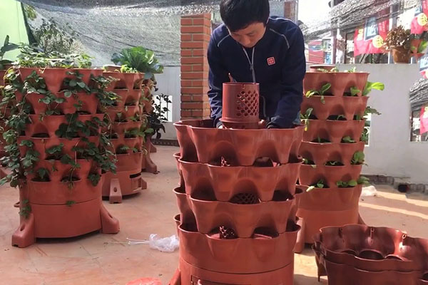 Tháp trồng rau hữu cơ thông minh