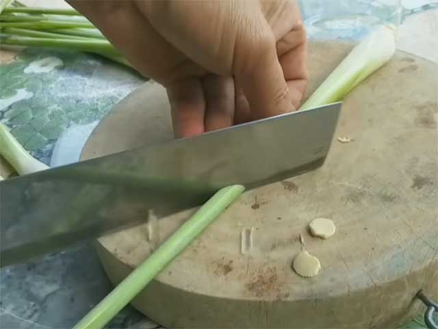 Trồng sả đuổi muỗi