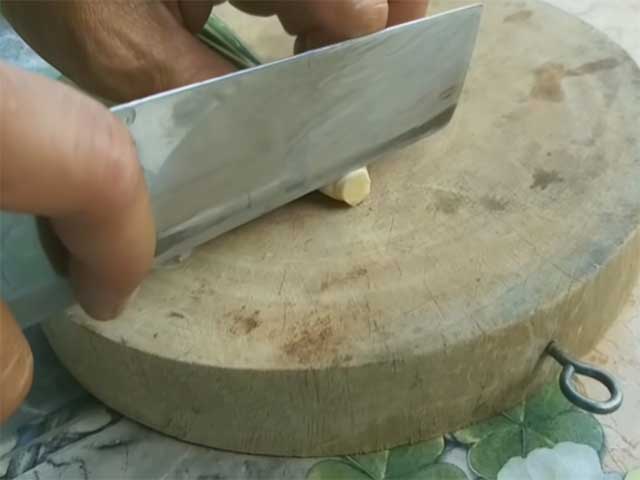 Trồng sả không cần rễ