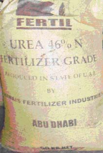 Urea Ả Rập