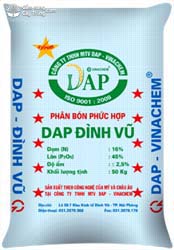 DAP Đình​ Vũ