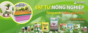 thiết kế vườn rau tại nhà giá rẻ