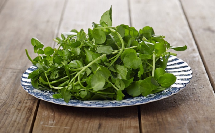 cach-cham-soc-rau-cai-xoong cách chăm sóc rau cải xoong tại nhà