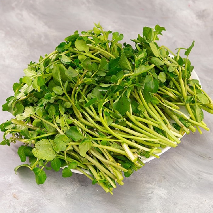 cach-trong-rau-cai-xoong-dung-cach Cách trồng rau cải xoong đơn giản