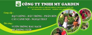 Dịch vụ thiết kế vườn rau tại nhà