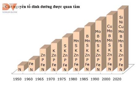 Các nguyên tố dinh dưỡng được quan tâm