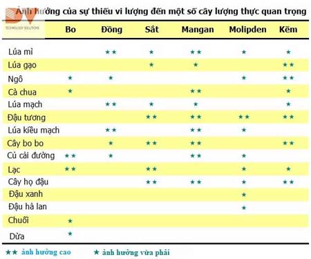 Biểu hiện sự thiếu hụt của một số yêu tố dinh dưỡng trên cây trồng