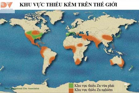 Các khu vực thiếu kẽm trên thế giới