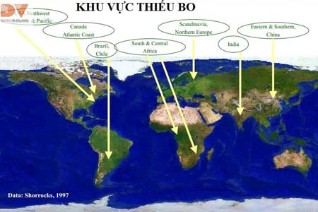 Khu vực thiếu Bo trên thế giới