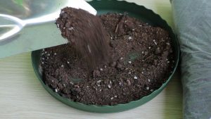 dat-potting-mix-compressed-300x169-1 Đất Potting Mix