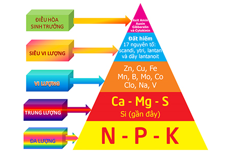 Dinh dưỡng cây trồng