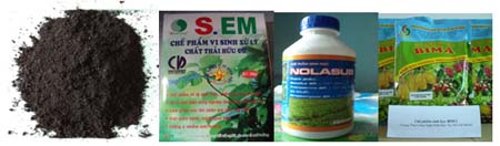 Bã café, chế phẩm BIO-S.EMRS, chế phẩm Enchoice,Aspergillus