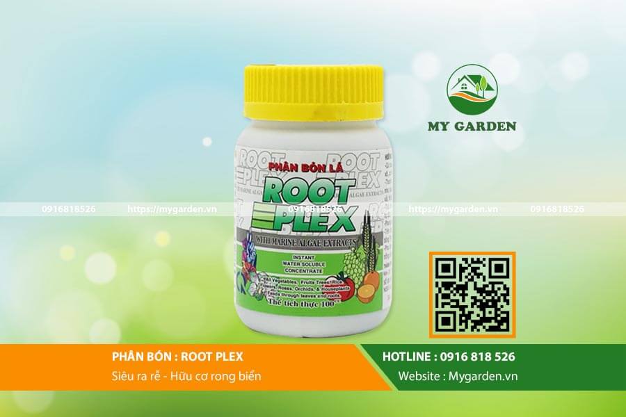 Thuốc siêu kích rễ mạnh Root Plex