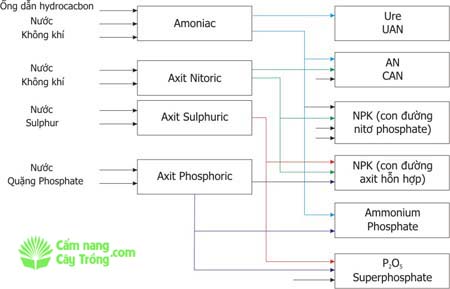 Sơ đồ diễn biến sản xuất phân bón
