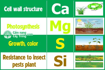 trung lượng Canxi, Magie, Lưu huỳnh, Silic và phụ gia sản xuất phân bón