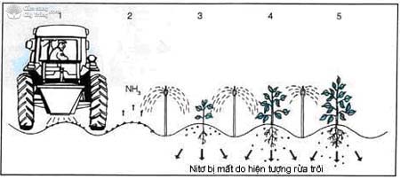 Phân bón không có Zeolite