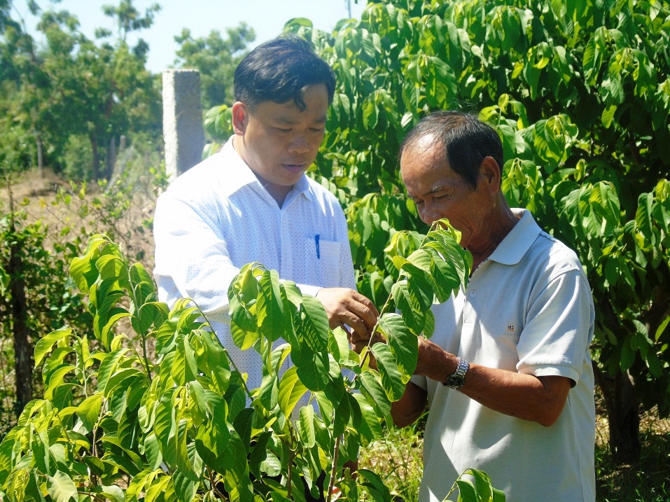 mãng cầu na