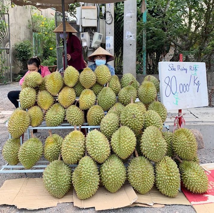 sầu riêng hột lép