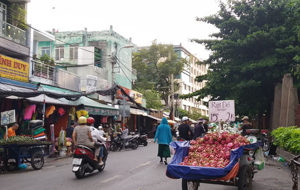 thanh long vào mùa