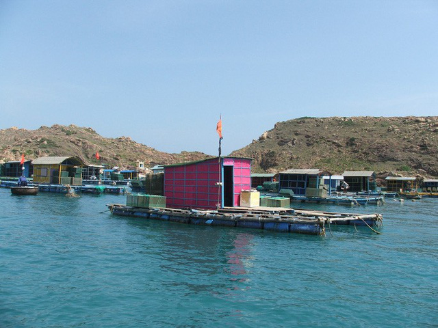tom-hum-quay-dau-tang-gia