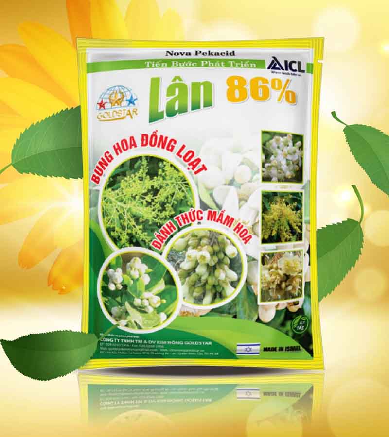 phan-lan-la-gi-1 phan-lan-la-gi