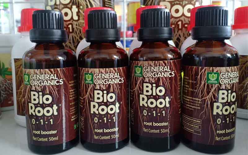 thuoc-kich-re-bio-root