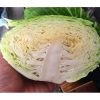 Hạt giống bắp siêu ngọt
