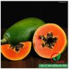 Hạt giống đu đủ ruột đỏ