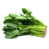 Hạt giống rau cải bó xôi
