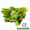 Hạt giống rau cải bó xôi